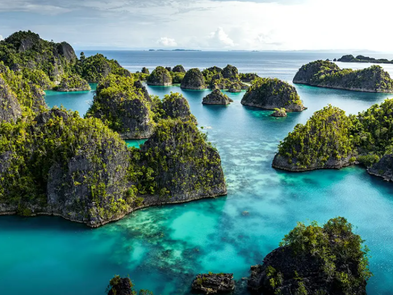 ALL IN HOLIDAY AT A BEST NET PRICES