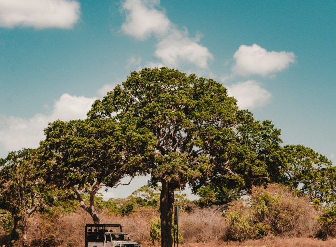 ALL IN HOLIDAY AT A BEST NET PRICES