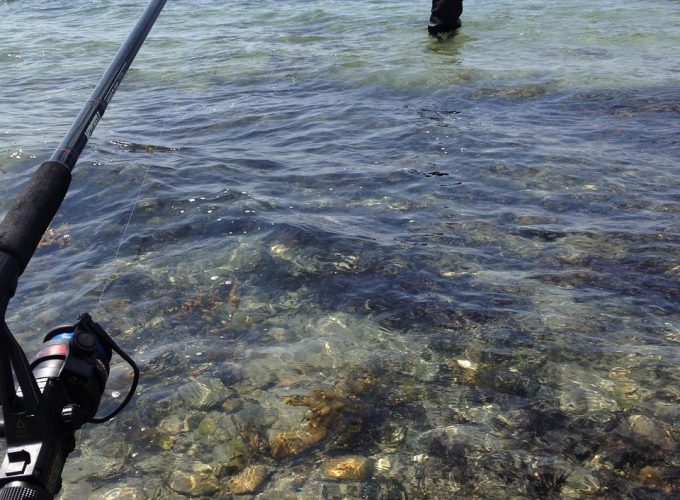 ALL IN HOLIDAY AT A BEST NET PRICES