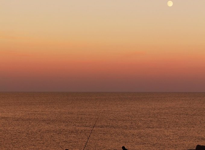 ALL IN HOLIDAY AT A BEST NET PRICES