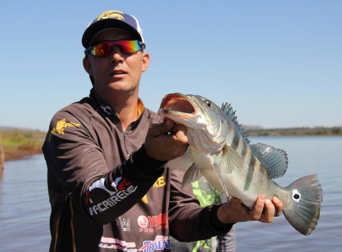 ALL IN HOLIDAY AT A BEST NET PRICES