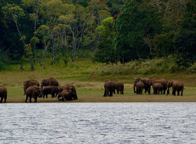 ALL IN HOLIDAY AT A BEST NET PRICES