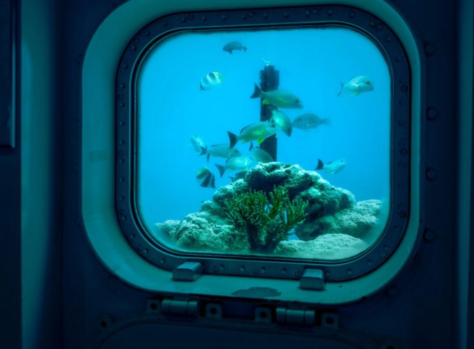 ALL IN HOLIDAY AT A BEST NET PRICES