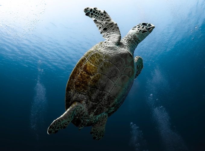 ALL IN HOLIDAY AT A BEST NET PRICES