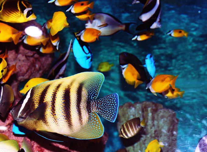 ALL IN HOLIDAY AT A BEST NET PRICES