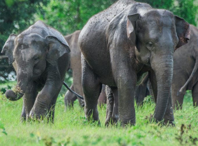 ALL IN HOLIDAY AT A BEST NET PRICES